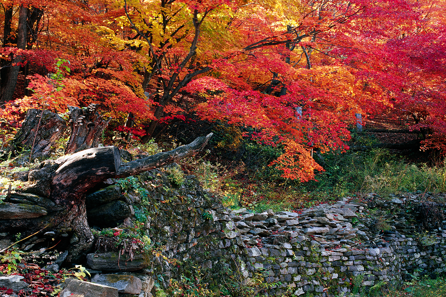 Autumn Wunu Mountain